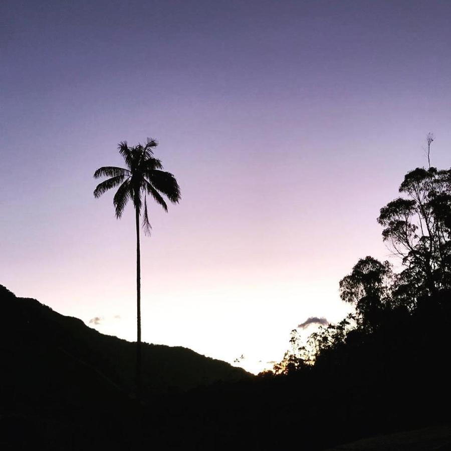 Cabanas Valle Del Cocora La Truchera Salento Kültér fotó