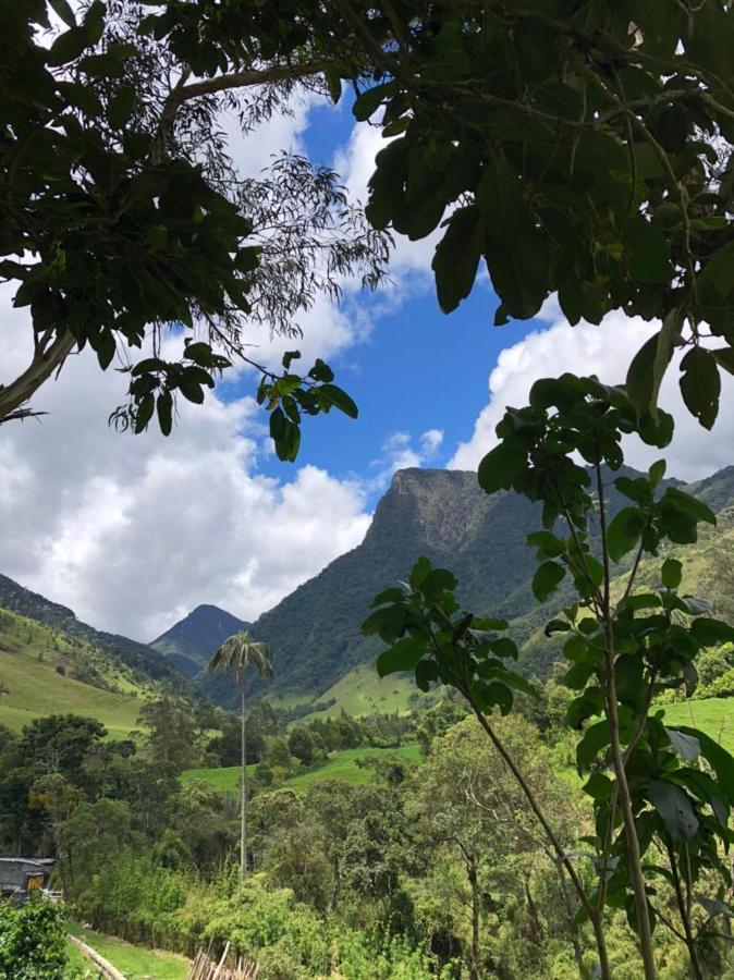Cabanas Valle Del Cocora La Truchera Salento Kültér fotó