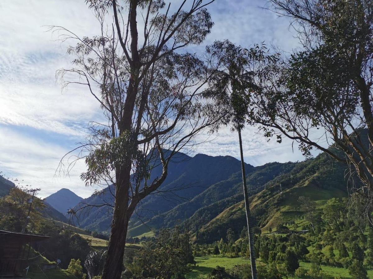 Cabanas Valle Del Cocora La Truchera Salento Kültér fotó