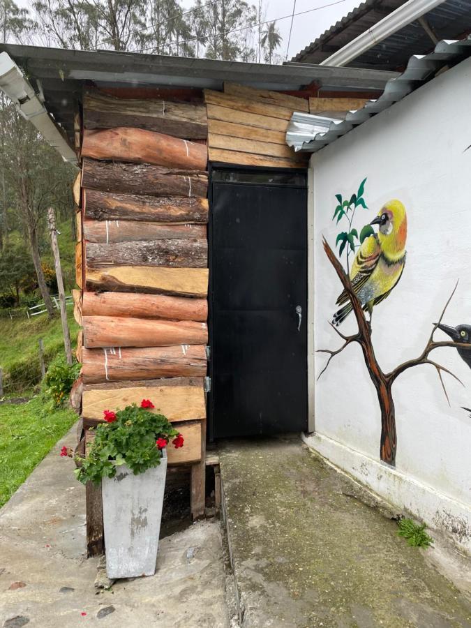 Cabanas Valle Del Cocora La Truchera Salento Kültér fotó