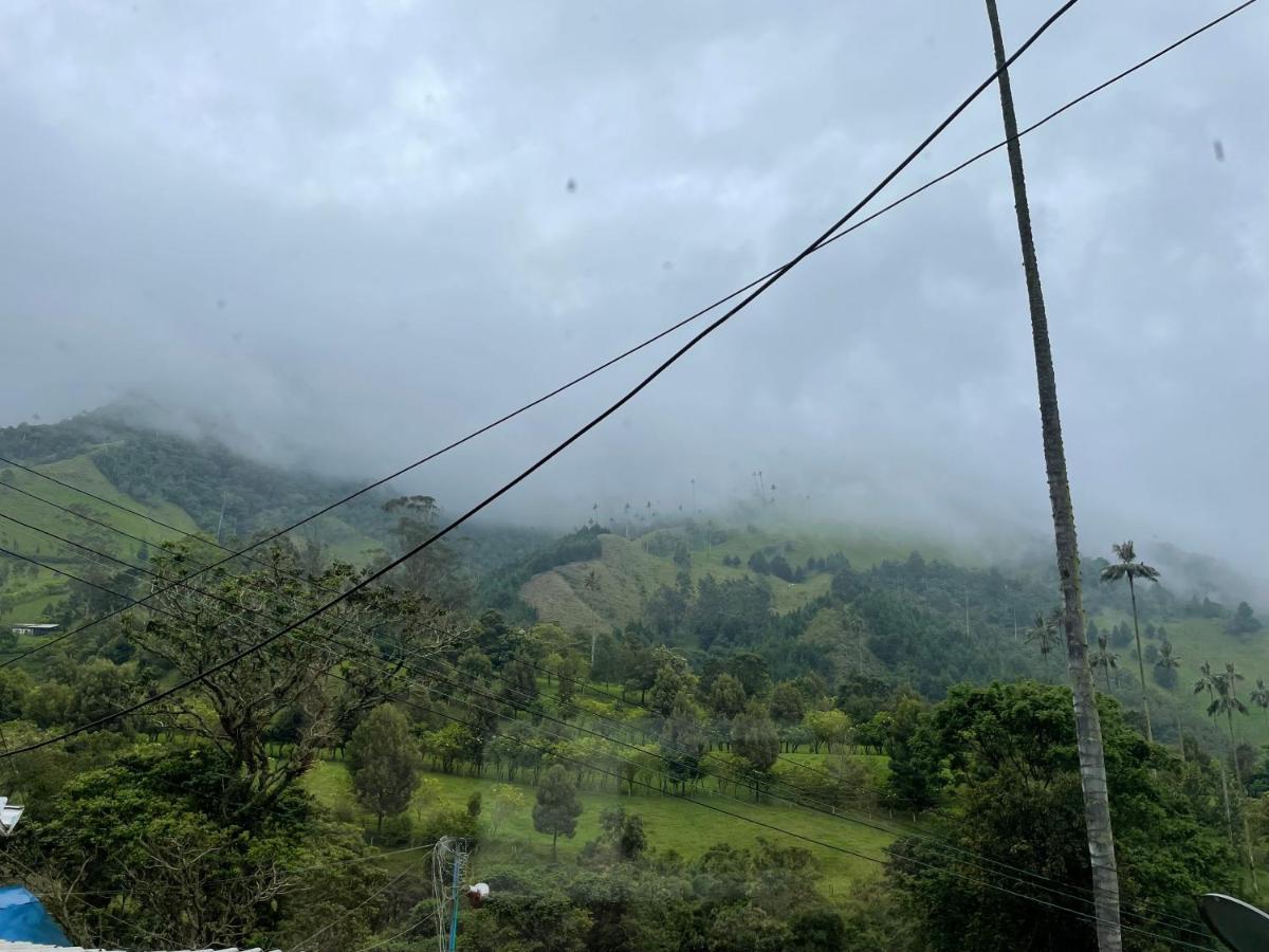 Cabanas Valle Del Cocora La Truchera Salento Kültér fotó
