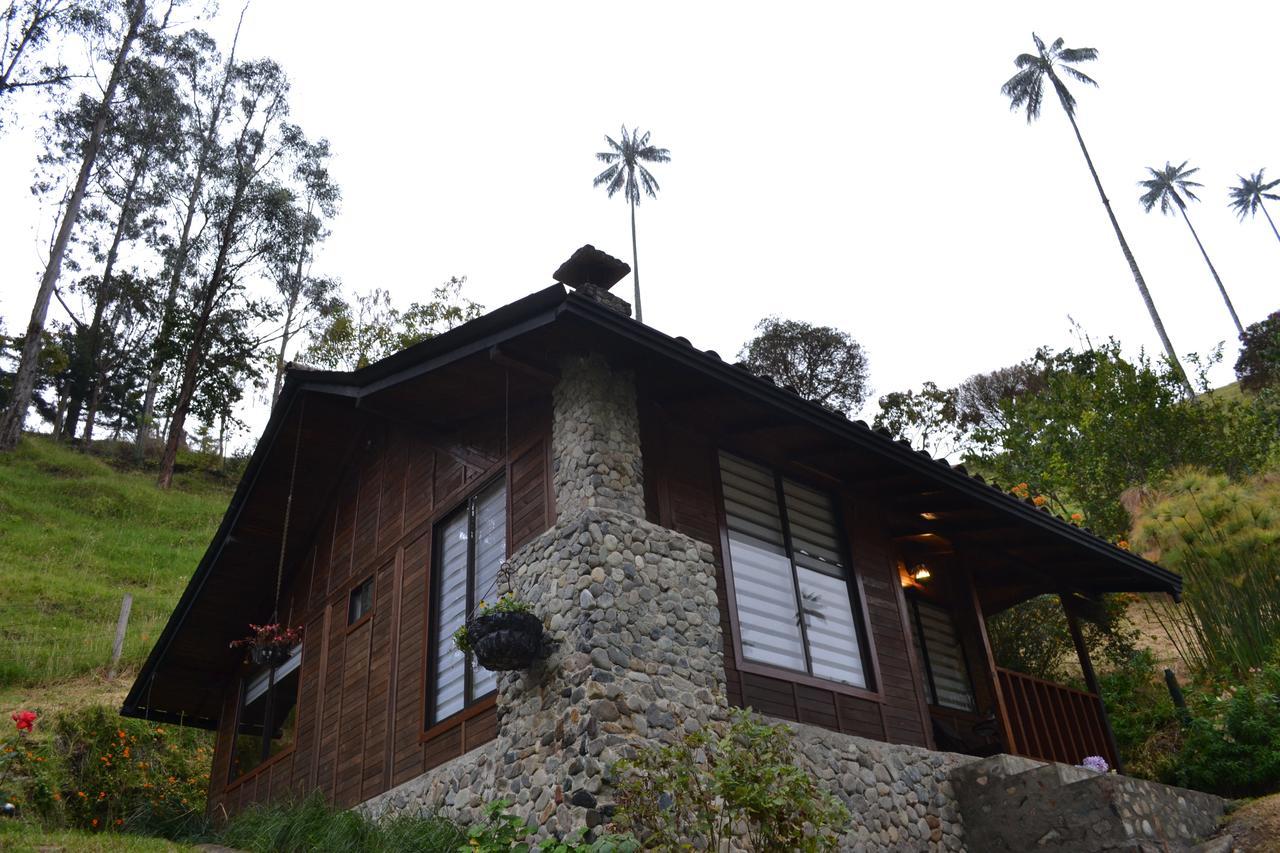 Cabanas Valle Del Cocora La Truchera Salento Kültér fotó