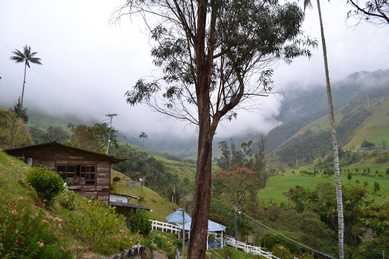 Cabanas Valle Del Cocora La Truchera Salento Kültér fotó