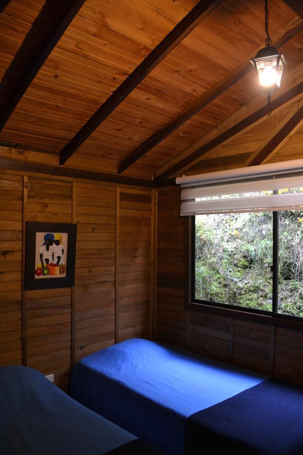 Cabanas Valle Del Cocora La Truchera Salento Kültér fotó