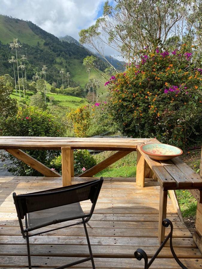 Cabanas Valle Del Cocora La Truchera Salento Kültér fotó