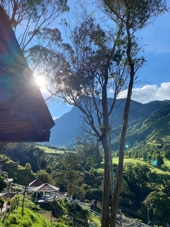 Cabanas Valle Del Cocora La Truchera Salento Kültér fotó