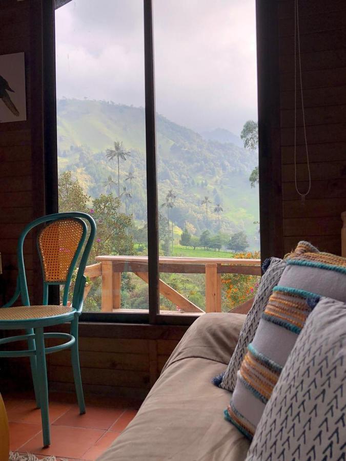 Cabanas Valle Del Cocora La Truchera Salento Kültér fotó