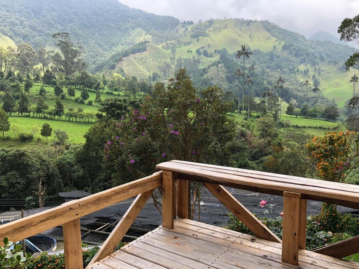 Cabanas Valle Del Cocora La Truchera Salento Kültér fotó