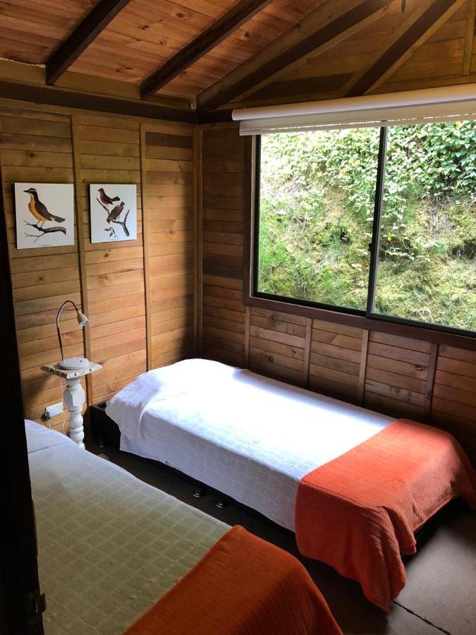 Cabanas Valle Del Cocora La Truchera Salento Kültér fotó