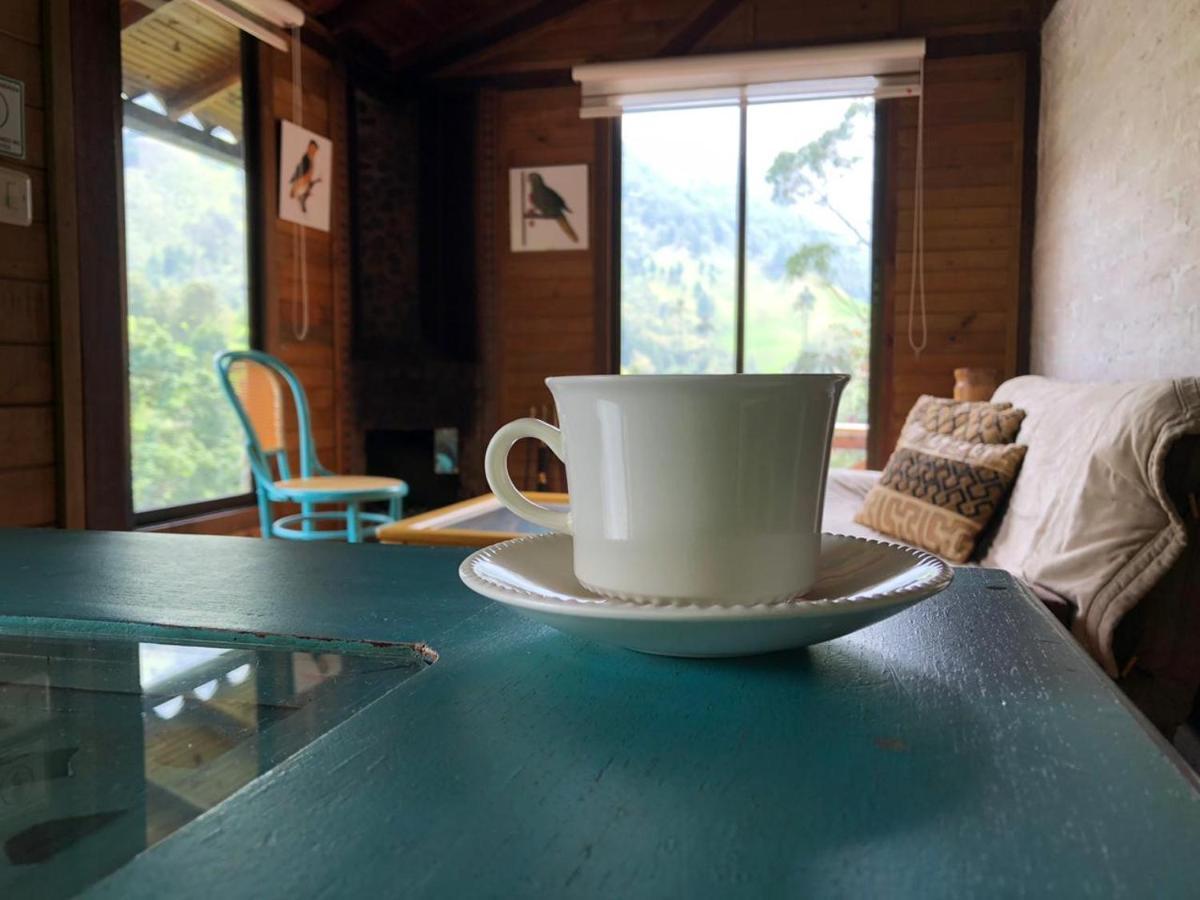 Cabanas Valle Del Cocora La Truchera Salento Kültér fotó