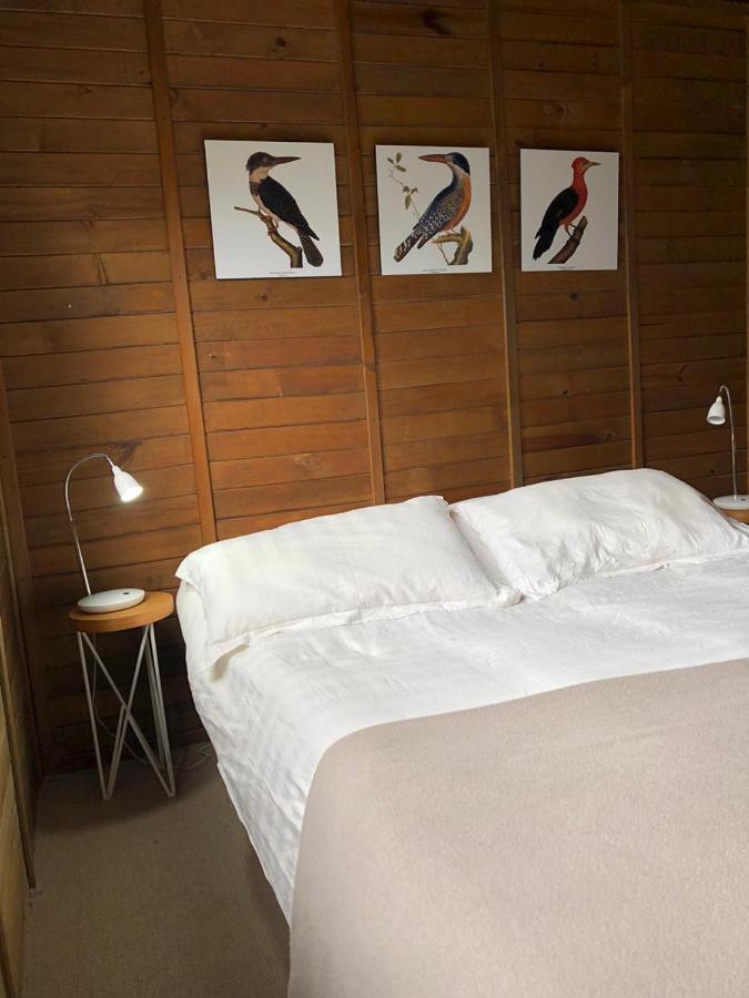 Cabanas Valle Del Cocora La Truchera Salento Kültér fotó