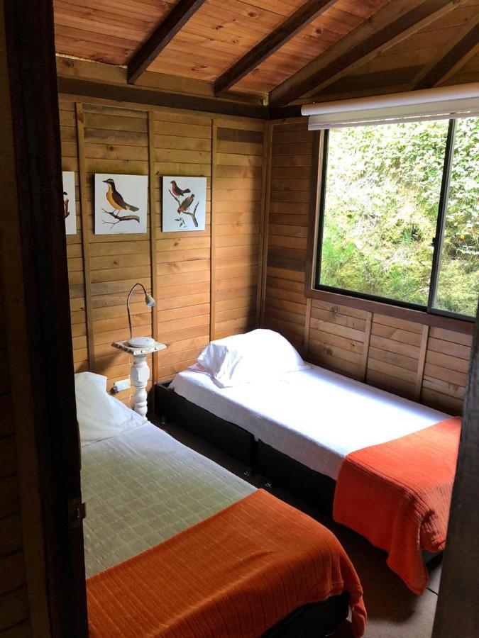 Cabanas Valle Del Cocora La Truchera Salento Kültér fotó