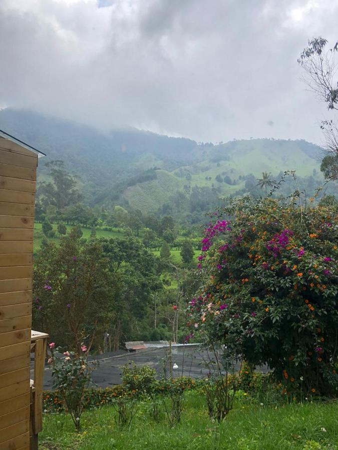 Cabanas Valle Del Cocora La Truchera Salento Kültér fotó