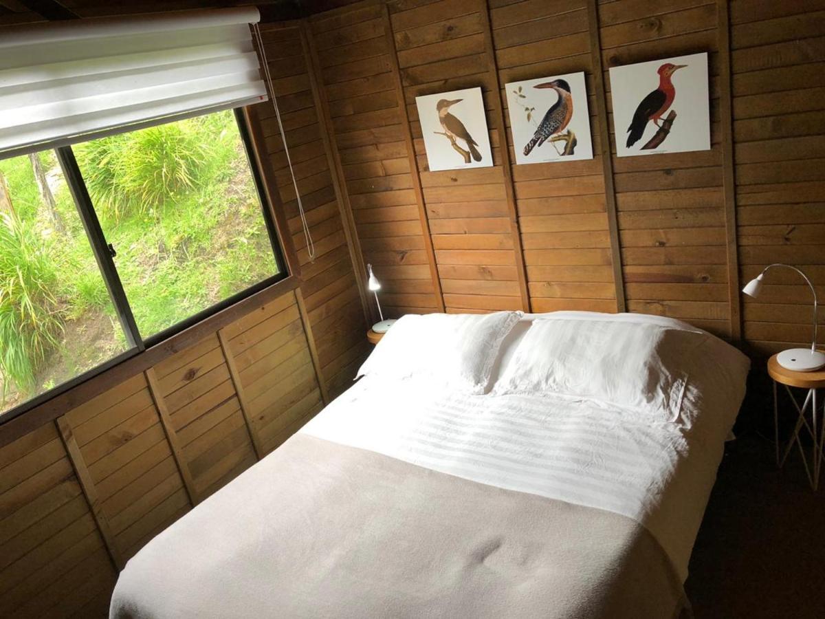 Cabanas Valle Del Cocora La Truchera Salento Kültér fotó